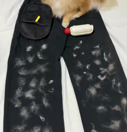 🔥Pawzioo™ Electrostatic Pet Hair Removal Grooming Gloves